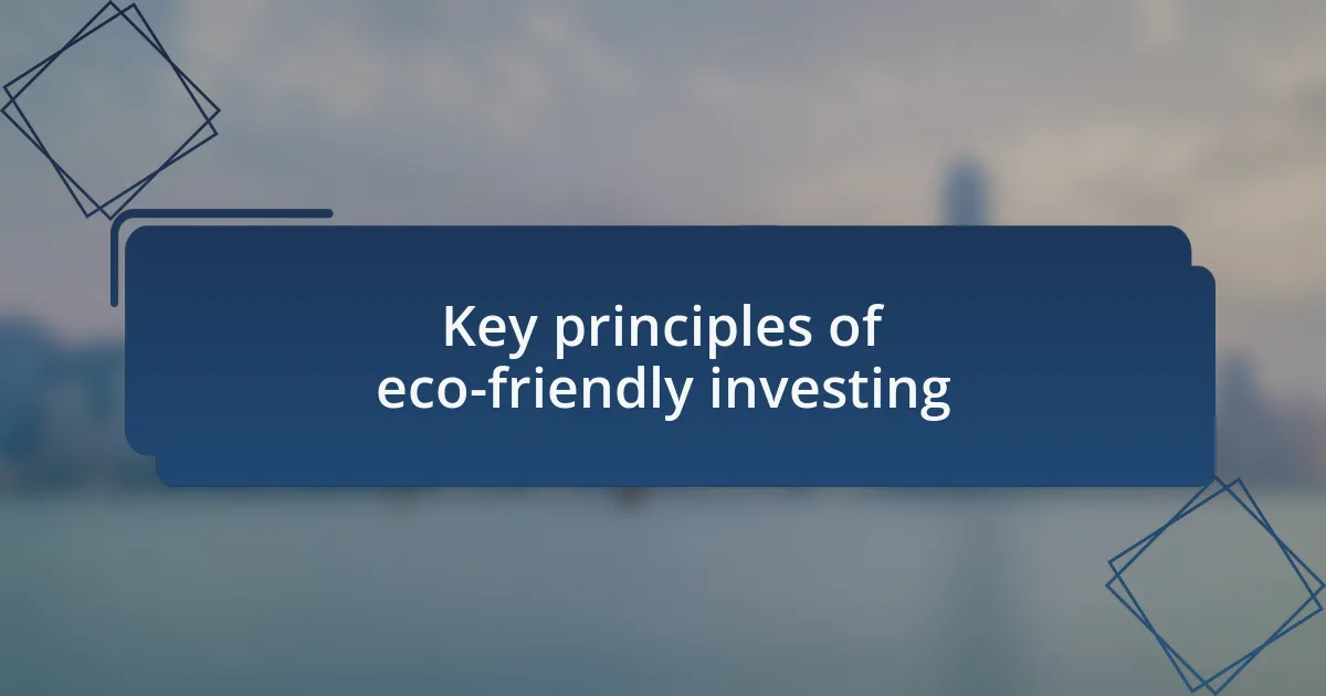 Key principles of eco-friendly investing