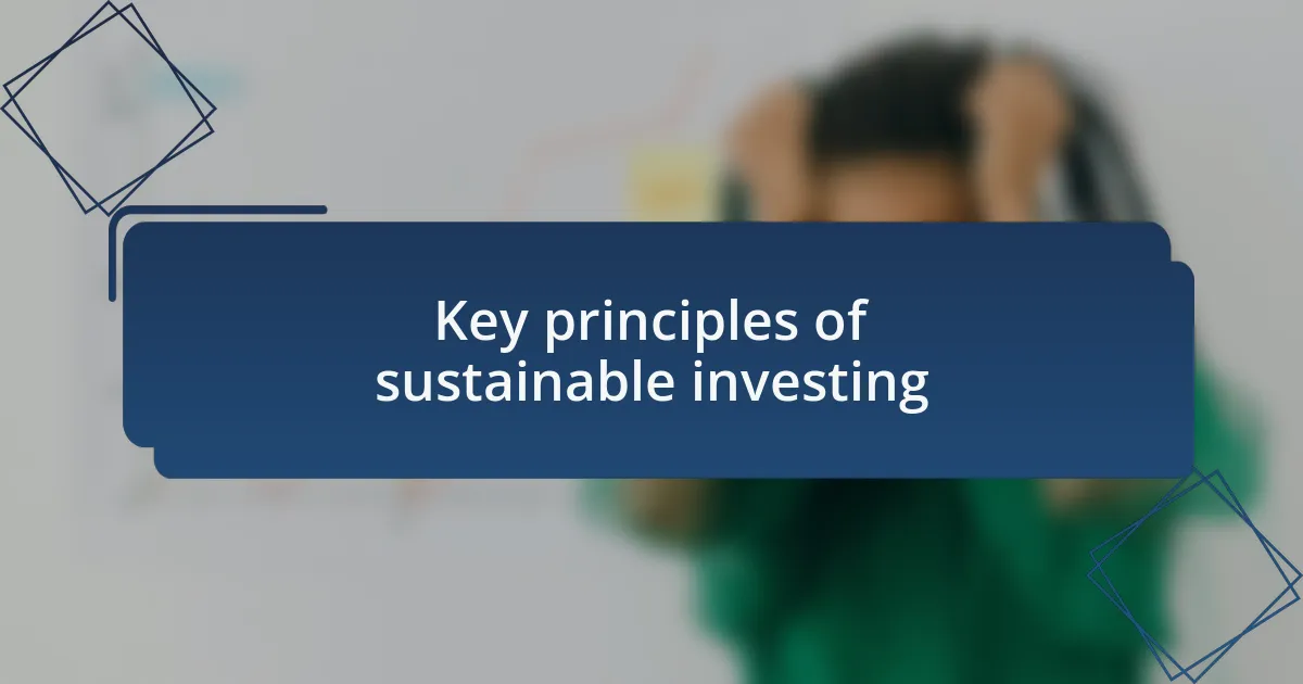 Key principles of sustainable investing