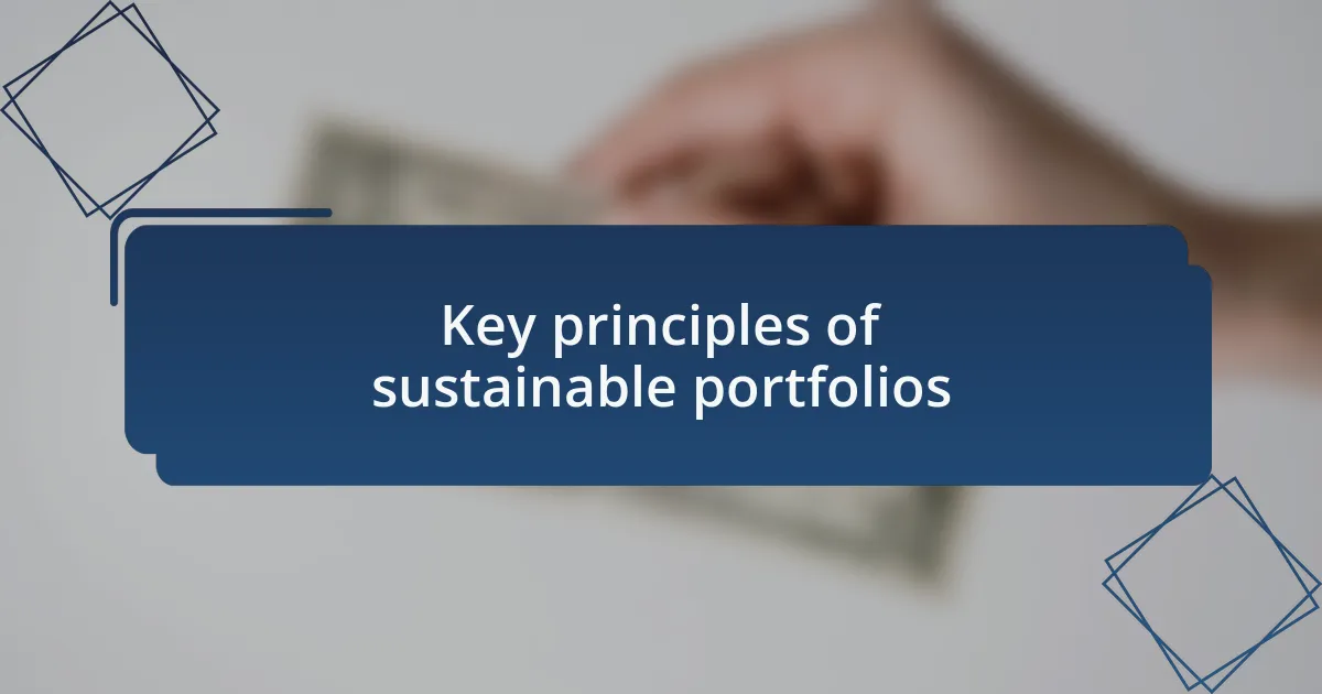Key principles of sustainable portfolios