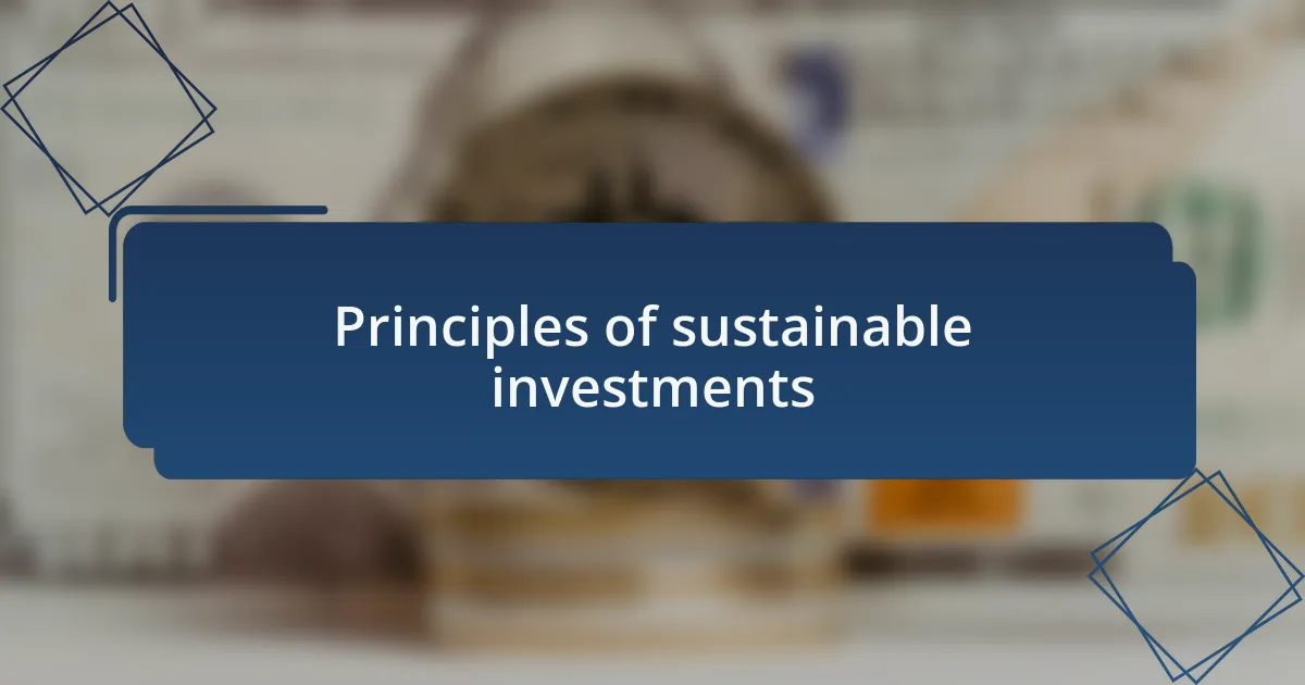 Principles of sustainable investments