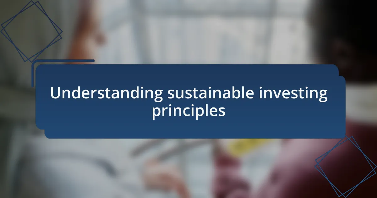 Understanding sustainable investing principles